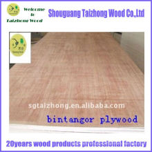 bintangor plywood